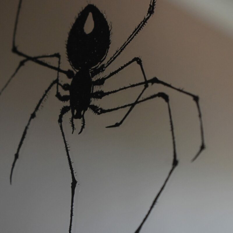 Lustro Dekoracyjne A4 w Czarnej Ramce z Grawerem Pająka na Pajęczynie – Unikalne Rękodzieło