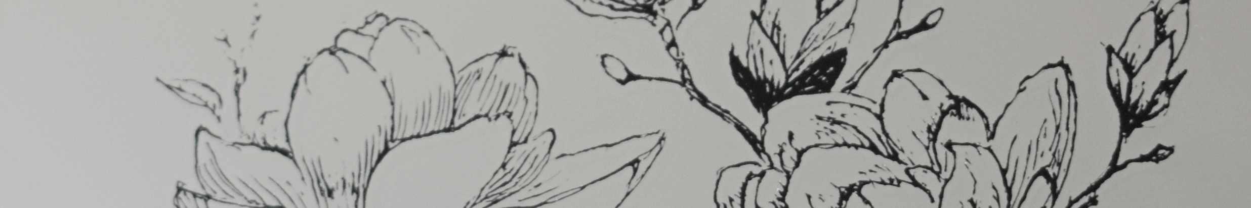 Lustro z grawerem kwiatów magnolii