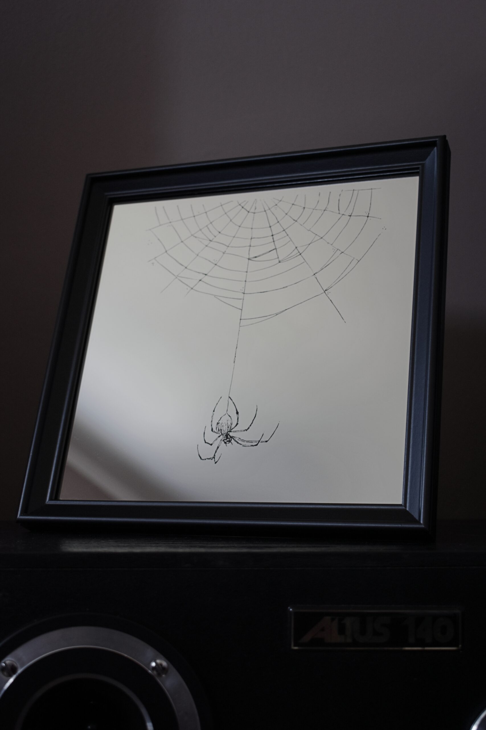 Lustro z grawerem pająka