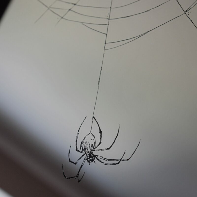 Lustro z grawerem pająka