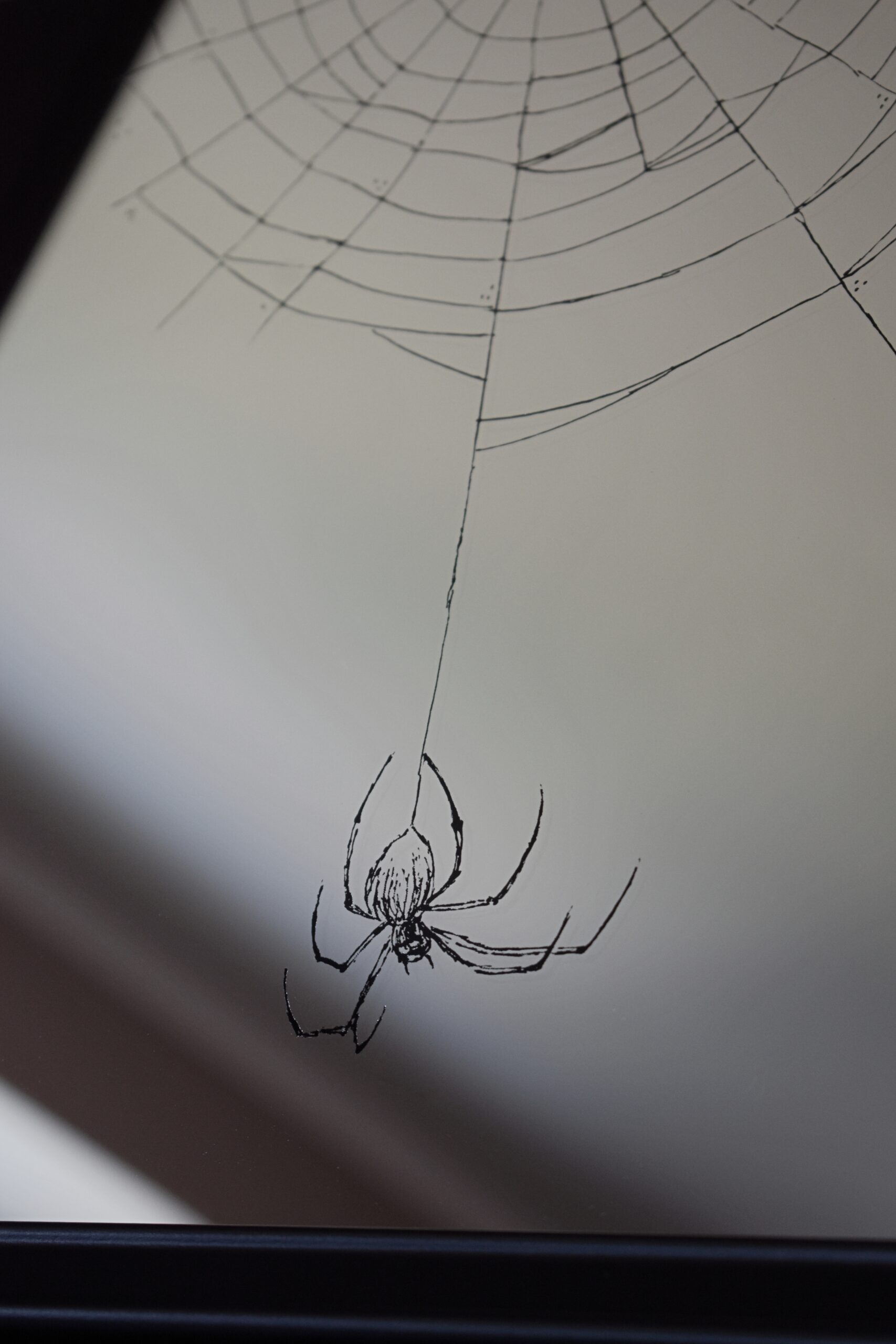 Lustro z grawerem pająka