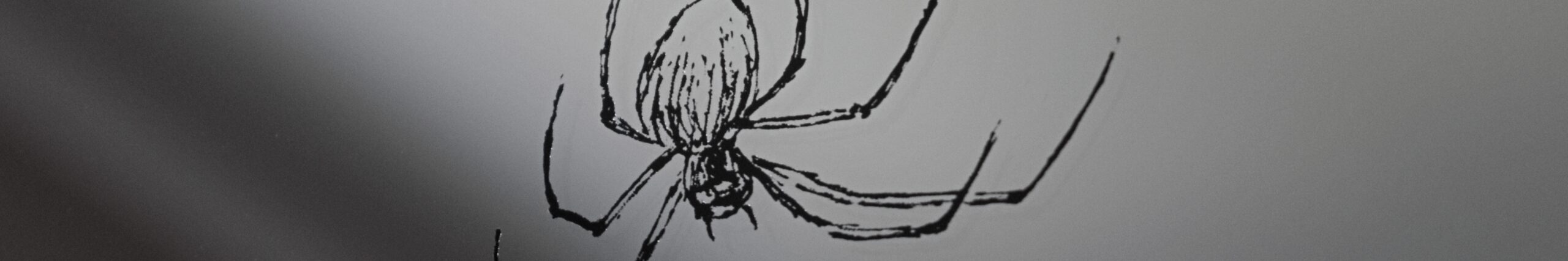 Lustro z grawerem pająka