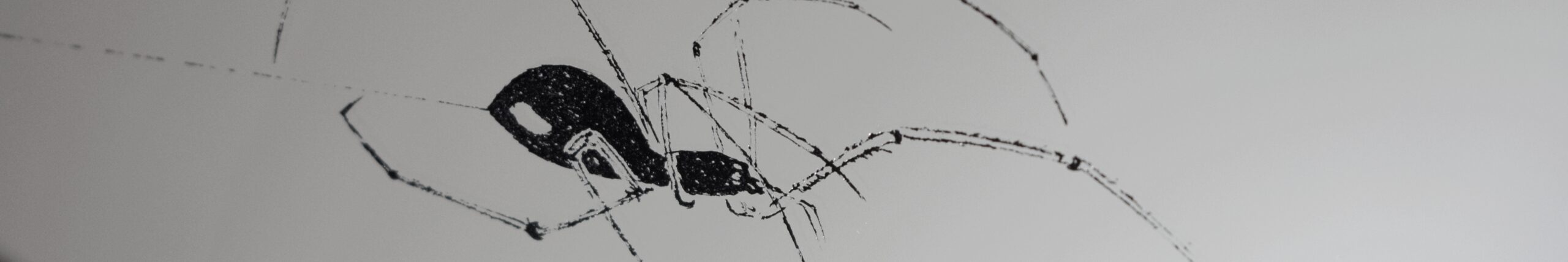 Lustro w Czarnej Ramce z Grawerem Pająka na Pajęczynie – Unikalne Rękodzieło