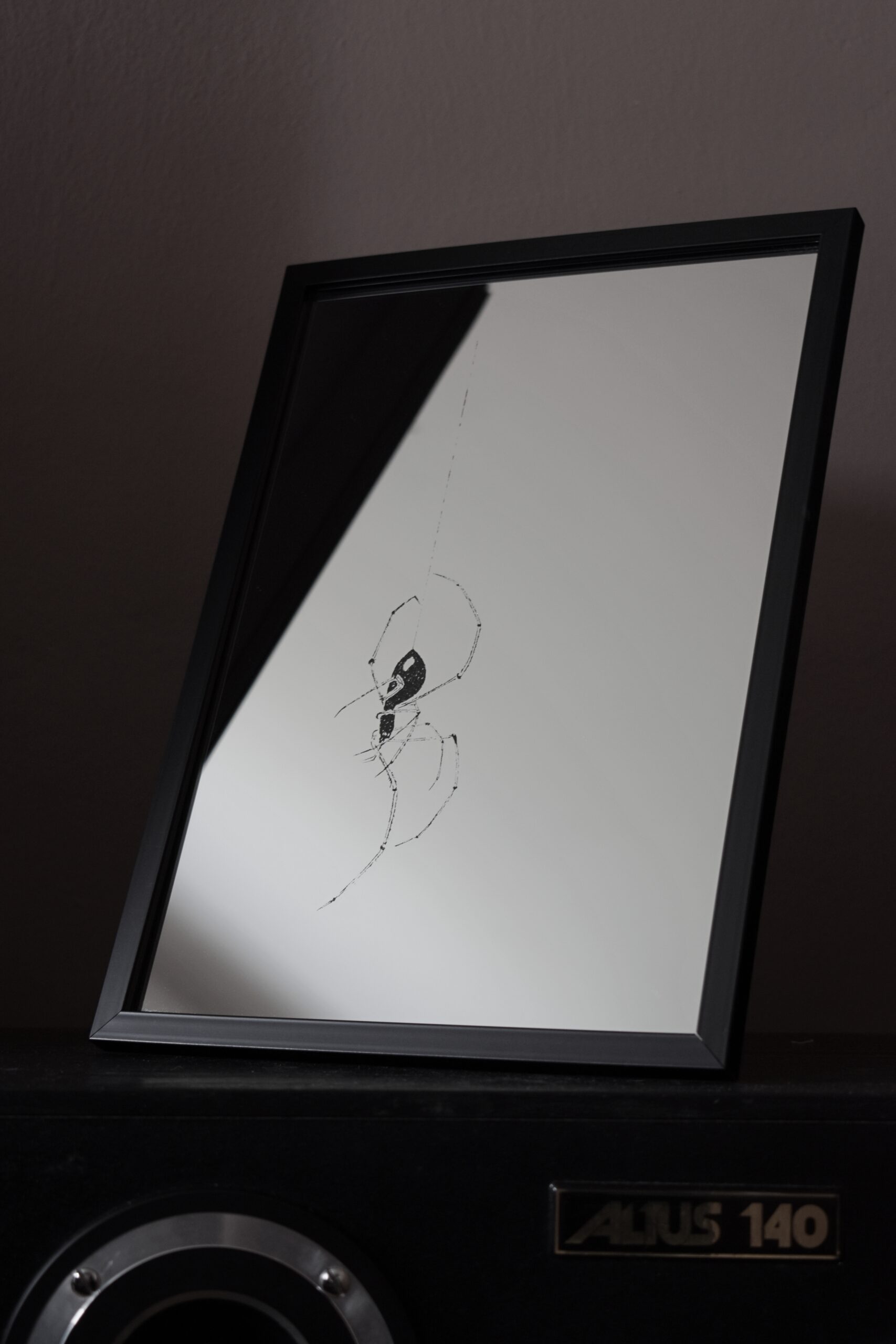 Lustro w Czarnej Ramce z Grawerem Pająka na Pajęczynie – Unikalne Rękodzieło