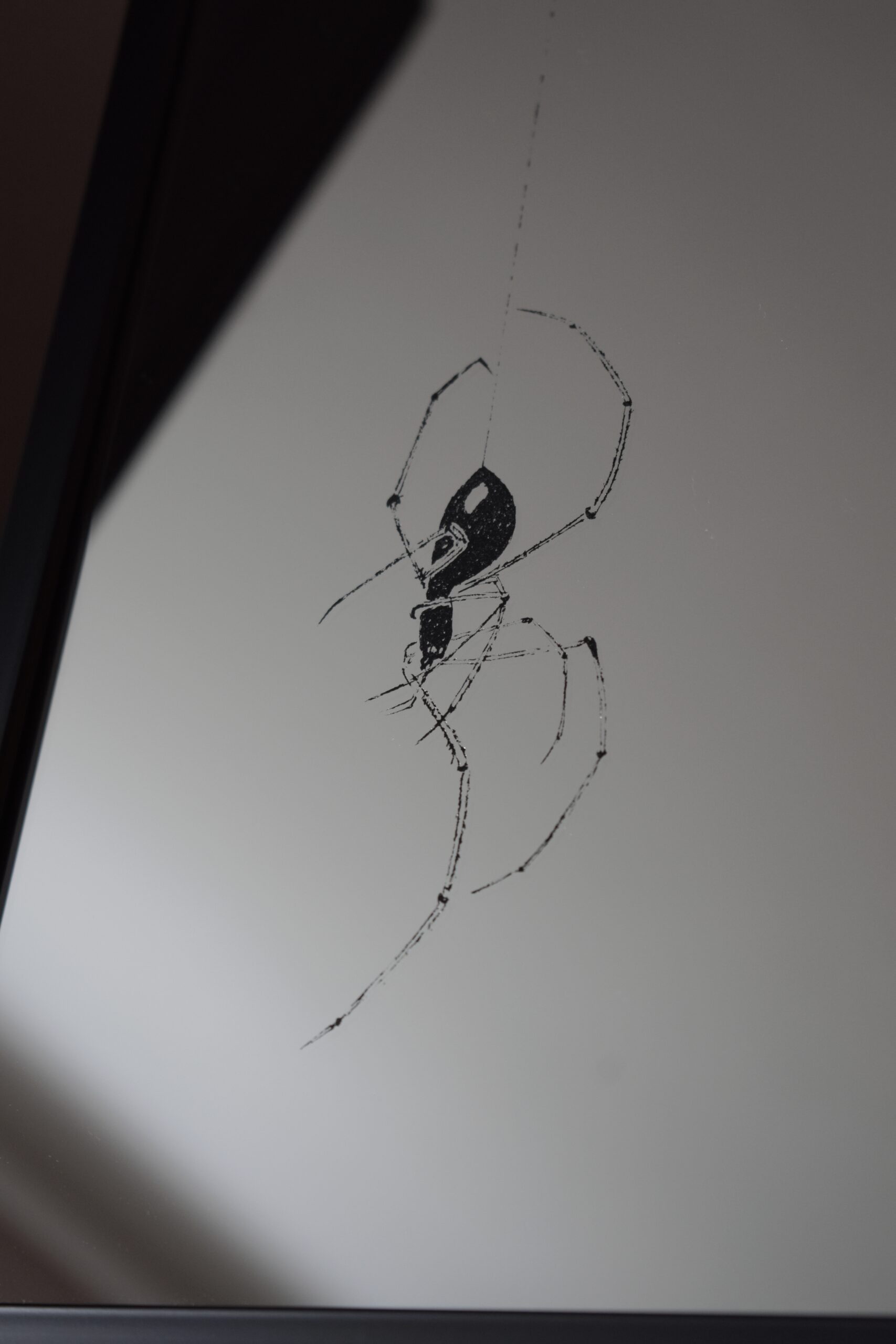 Lustro w Czarnej Ramce z Grawerem Pająka na Pajęczynie – Unikalne Rękodzieło