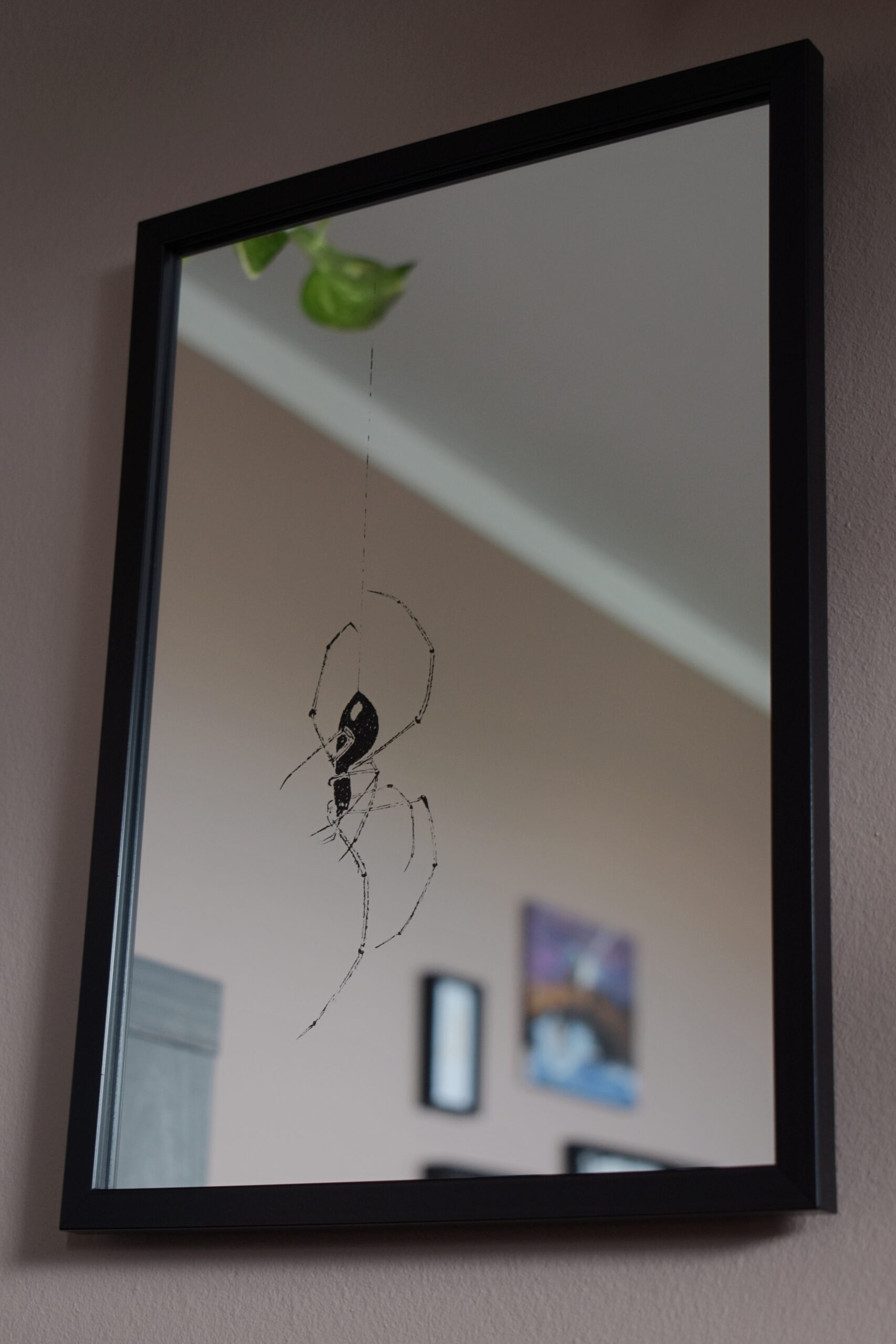 Lustro w Czarnej Ramce z Grawerem Pająka na Pajęczynie – Unikalne Rękodzieło