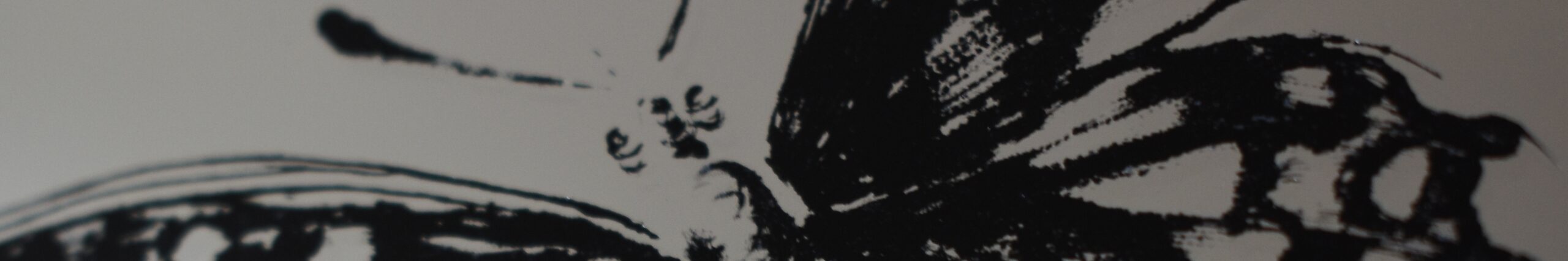 Lustro z grawerem motyla