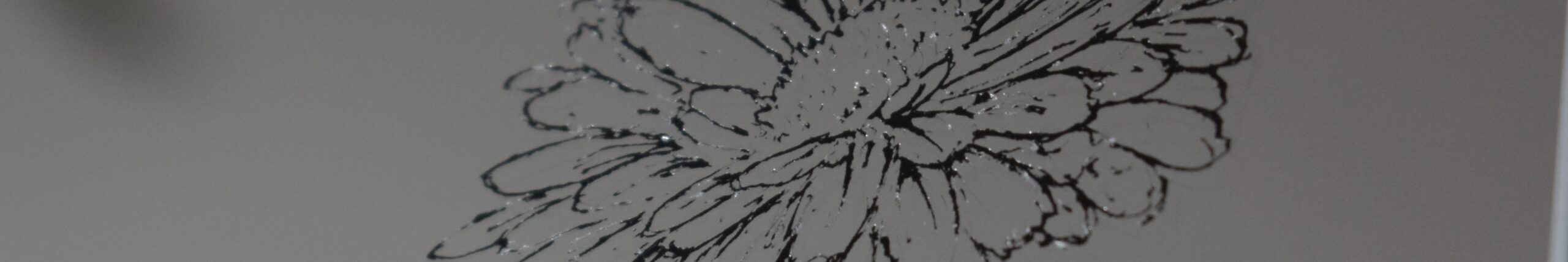 lustro z grawerem stokrotek