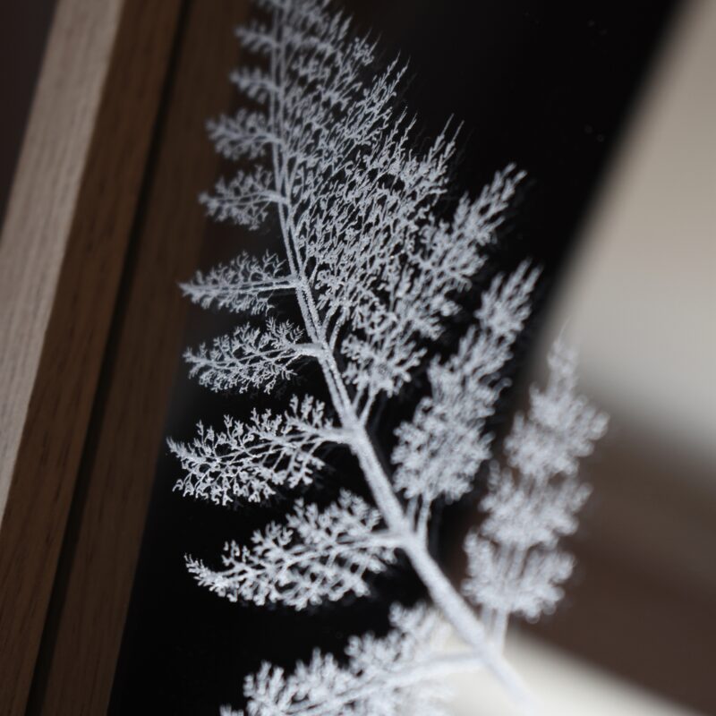 Ręcznie grawerowane lustro z motywem paproci