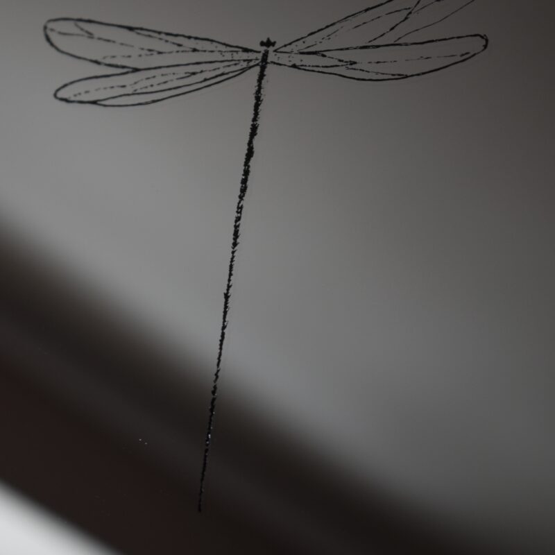 Lustro z ręcznym grawerem ważki