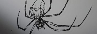 Lustro z grawerem pająka