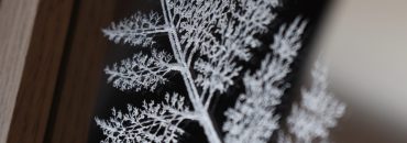 Ręcznie grawerowane lustro z motywem paproci